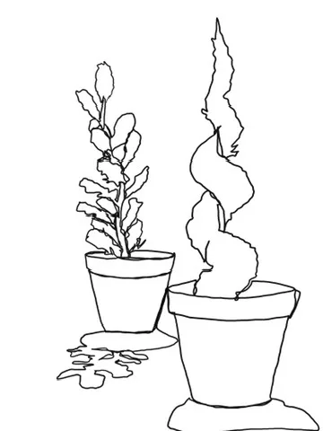 Continuous line drawing of two potted plants